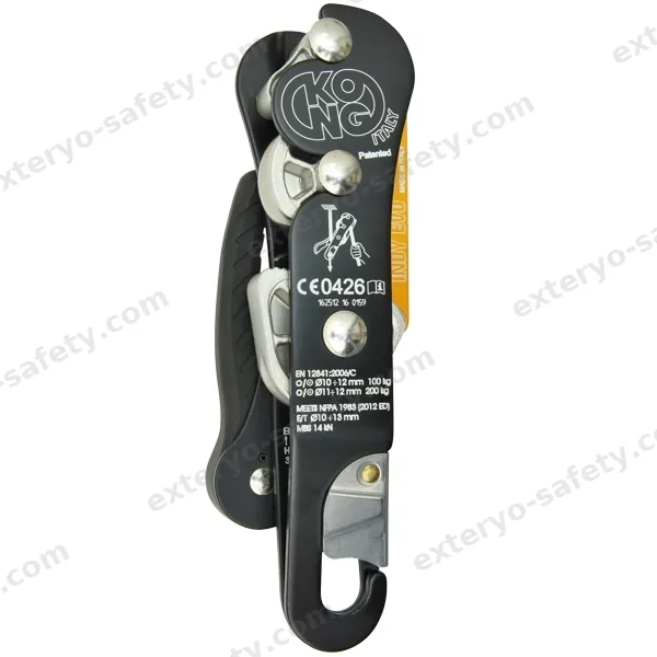 INDY EVO PLUS, Discensore KONG S.p.A.