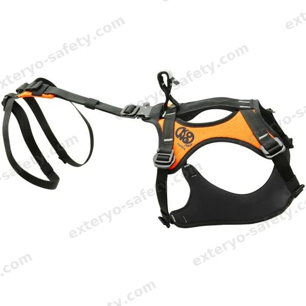 HARIA, Accessorio KONG S.p.A.