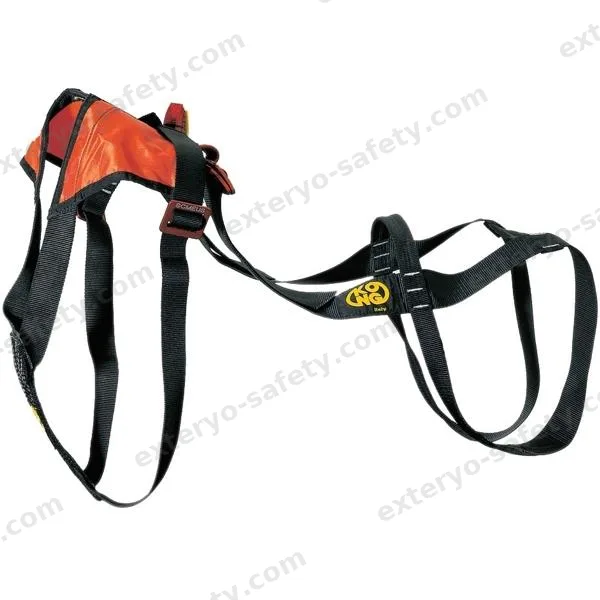SMEUS, Accessorio KONG S.p.A.